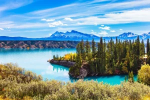 Discount Abraham Lake in Canada fotobehang Bloemen
