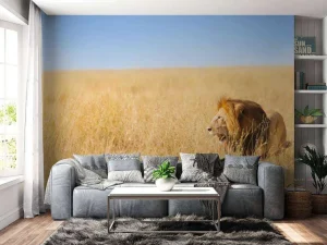 New Afrikaanse leeuw op zoek naar een prooi fotobehang Tienerkamer | Dieren
