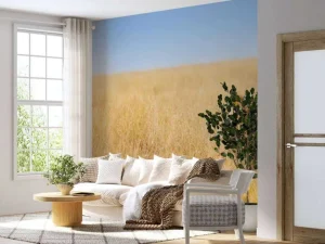New Afrikaanse leeuw op zoek naar een prooi fotobehang Tienerkamer | Dieren