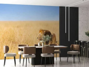 New Afrikaanse leeuw op zoek naar een prooi fotobehang Tienerkamer | Dieren