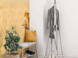New Afrikaanse leeuw op zoek naar een prooi fotobehang Tienerkamer | Dieren