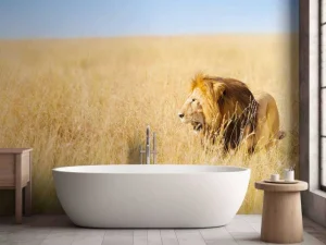 New Afrikaanse leeuw op zoek naar een prooi fotobehang Tienerkamer | Dieren