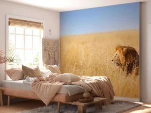 New Afrikaanse leeuw op zoek naar een prooi fotobehang Tienerkamer | Dieren