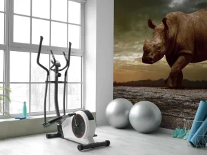 Outlet Afrikaanse neushoorn op een vuil veld fotobehang Tienerkamer | Dieren
