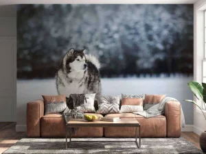 Outlet Alaska-malamute in de sneeuw fotobehang Tienerkamer | Dieren