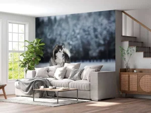 Outlet Alaska-malamute in de sneeuw fotobehang Tienerkamer | Dieren