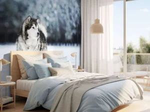 Outlet Alaska-malamute in de sneeuw fotobehang Tienerkamer | Dieren