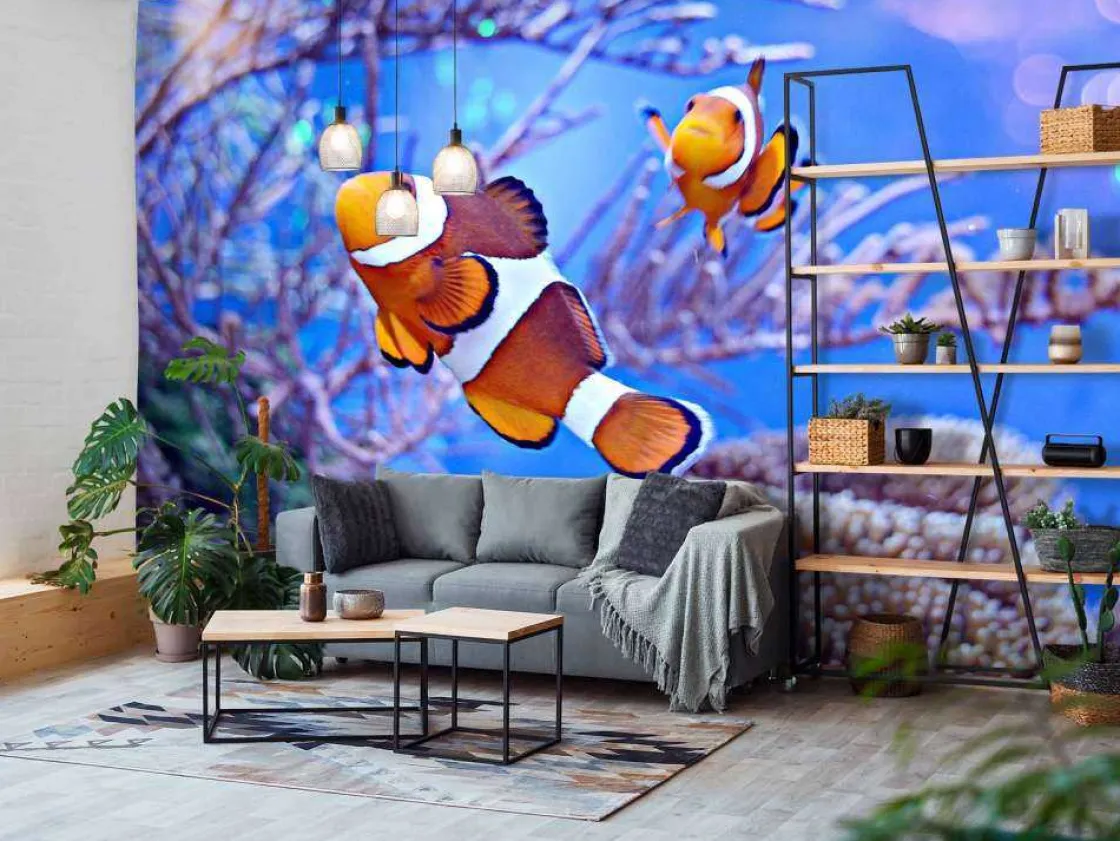 anemoonvissen_in_een_groo_2.webp Clearance Anemoonvissen in een groot aquarium fotobehang Dieren