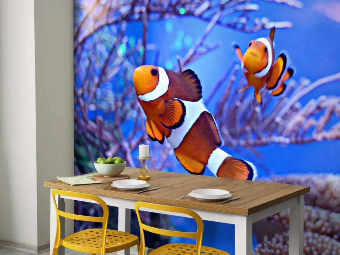 anemoonvissen_in_een_groo_3.webp Clearance Anemoonvissen in een groot aquarium fotobehang Dieren