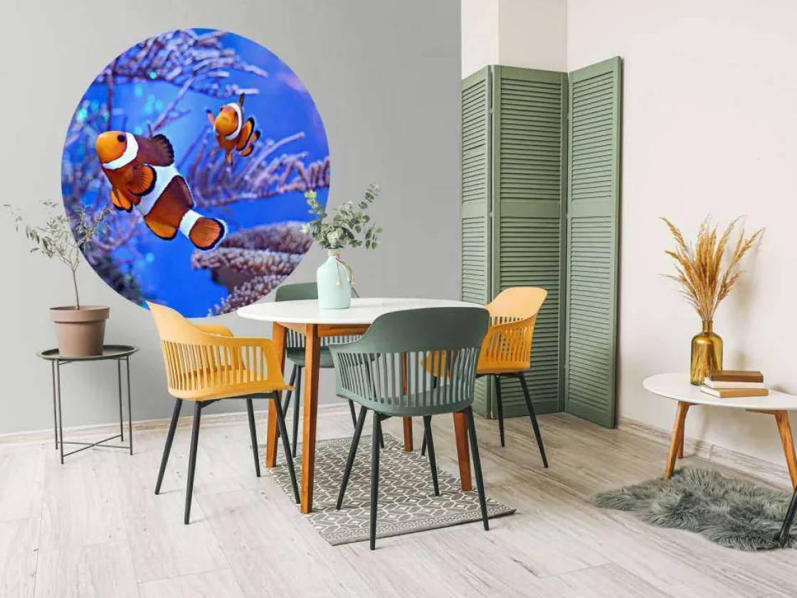 anemoonvissen_in_een_groo_5.webp Clearance Anemoonvissen in een groot aquarium fotobehang Dieren