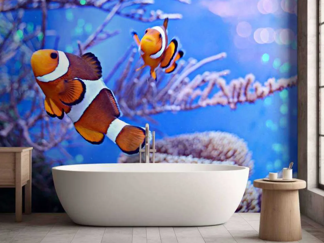 anemoonvissen_in_een_groo_6.webp Clearance Anemoonvissen in een groot aquarium fotobehang Dieren