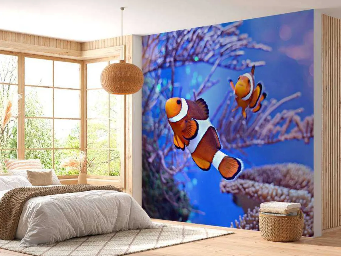 anemoonvissen_in_een_groo_9.webp Clearance Anemoonvissen in een groot aquarium fotobehang Dieren