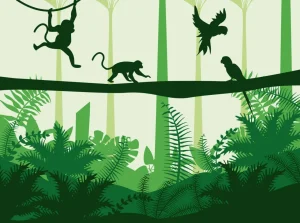 Best Apenkooien Kinderkamer | Dieren