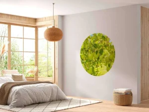 Clearance Appelboom close-up fotobehang Bloemen