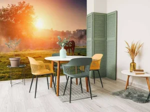 Online Arabisch paard bij zonsondergang fotobehang Tienerkamer | Kinderkamer
