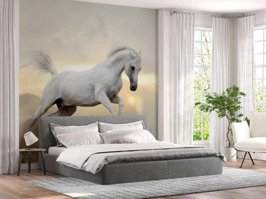 arabische_hengst_in_het_s_1.webp Sale Arabische Hengst in het stof fotobehang Tienerkamer | Kinderkamer