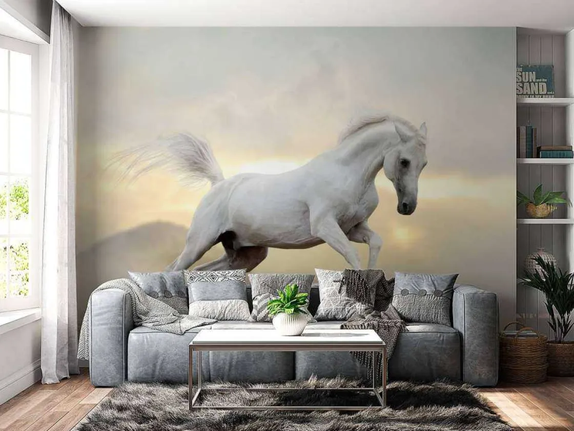arabische_hengst_in_het_s_10.webp Sale Arabische Hengst in het stof fotobehang Tienerkamer | Kinderkamer