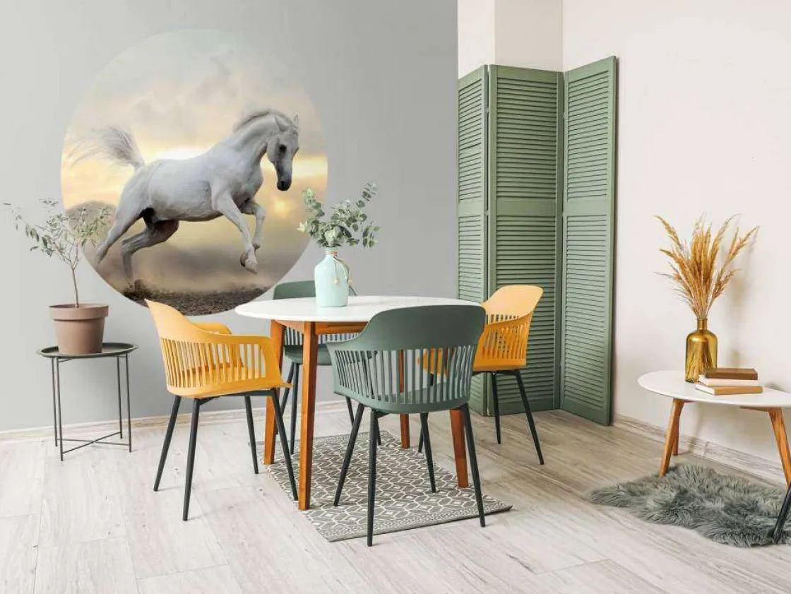 arabische_hengst_in_het_s_8.webp Sale Arabische Hengst in het stof fotobehang Tienerkamer | Kinderkamer