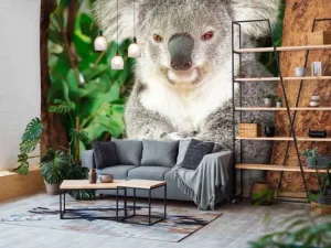 Clearance Australische koala in een boom fotobehang Dieren