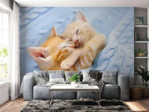 Discount Baby katjes slapen knuffelend fotobehang Kinderkamer | Dieren