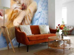 Discount Baby katjes slapen knuffelend fotobehang Kinderkamer | Dieren