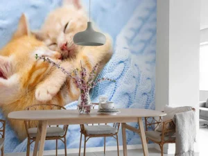 Discount Baby katjes slapen knuffelend fotobehang Kinderkamer | Dieren