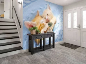 Discount Baby katjes slapen knuffelend fotobehang Kinderkamer | Dieren