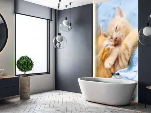 Discount Baby katjes slapen knuffelend fotobehang Kinderkamer | Dieren