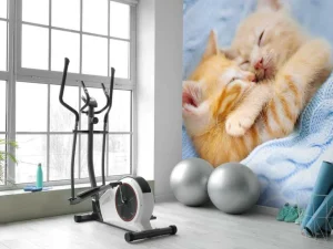 Discount Baby katjes slapen knuffelend fotobehang Kinderkamer | Dieren