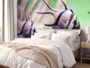 Discount Banggai kardinaalvissen fotobehang Dieren