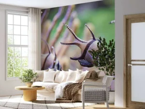 Discount Banggai kardinaalvissen fotobehang Dieren