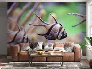 Discount Banggai kardinaalvissen fotobehang Dieren
