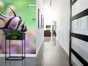 Discount Banggai kardinaalvissen fotobehang Dieren