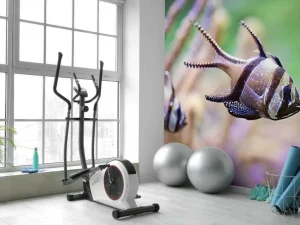 Discount Banggai kardinaalvissen fotobehang Dieren