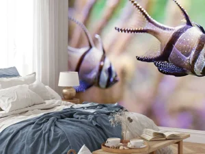 Discount Banggai kardinaalvissen fotobehang Dieren