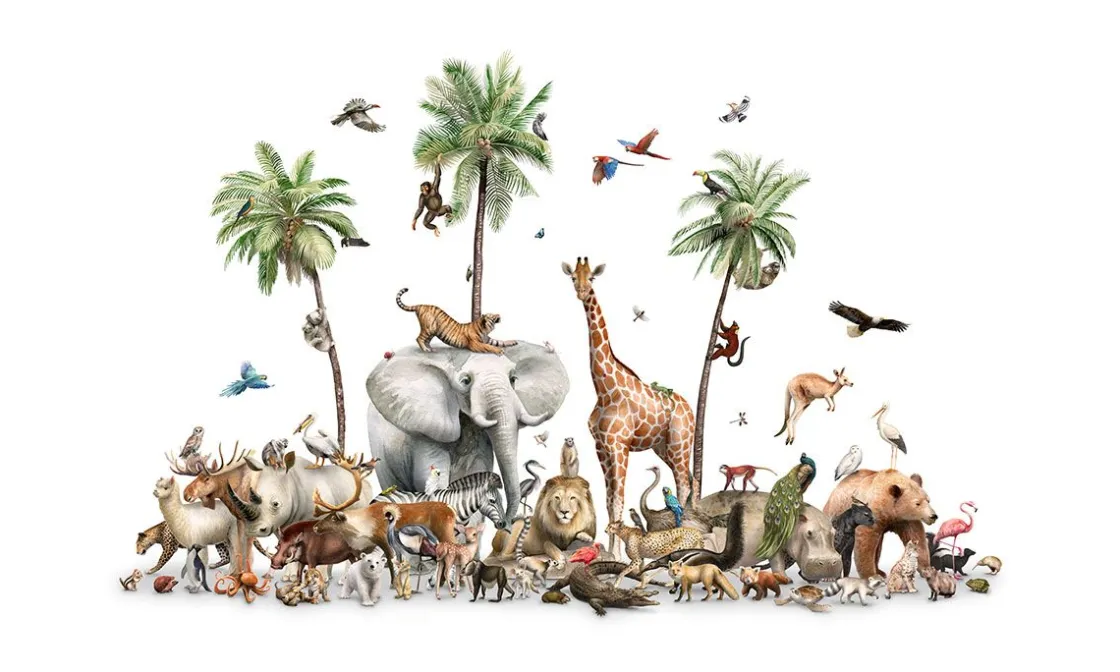 beautiful_biodiversity_0.webp Hot Beautiful Biodiversity Kinderkamer | Dieren