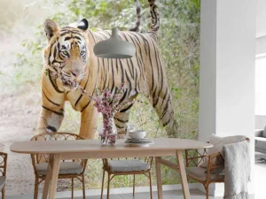 Outlet Bengaalse Tijger lopend in woud fotobehang Dieren