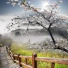 Sale Berg met brug naar Bloesem fotobehang Bloemen