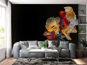 Fashion Betta vissen met een zwarte achtergrond fotobehang Dieren