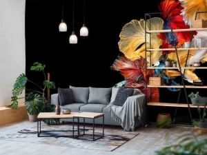 Fashion Betta vissen met een zwarte achtergrond fotobehang Dieren