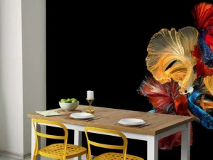 Fashion Betta vissen met een zwarte achtergrond fotobehang Dieren