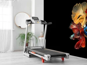 Fashion Betta vissen met een zwarte achtergrond fotobehang Dieren