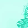 Discount Blauwe achtergrond met exotische bladeren fotobehang Tienerkamer | Bloemen