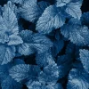 Hot Blauwe exotische bladeren fotobehang Woonkamer | Bloemen