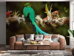 Discount Blauwe Quetzal in Sri Lanka fotobehang Dieren