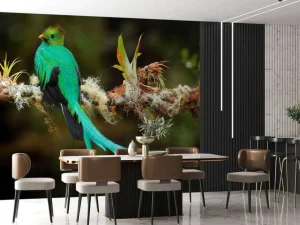 Discount Blauwe Quetzal in Sri Lanka fotobehang Dieren