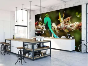 Discount Blauwe Quetzal in Sri Lanka fotobehang Dieren