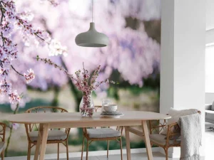 Discount Bloeiende Amandelbomen fotobehang Bloemen