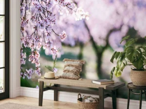 Discount Bloeiende Amandelbomen fotobehang Bloemen