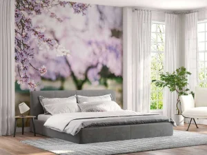 Discount Bloeiende Amandelbomen fotobehang Bloemen